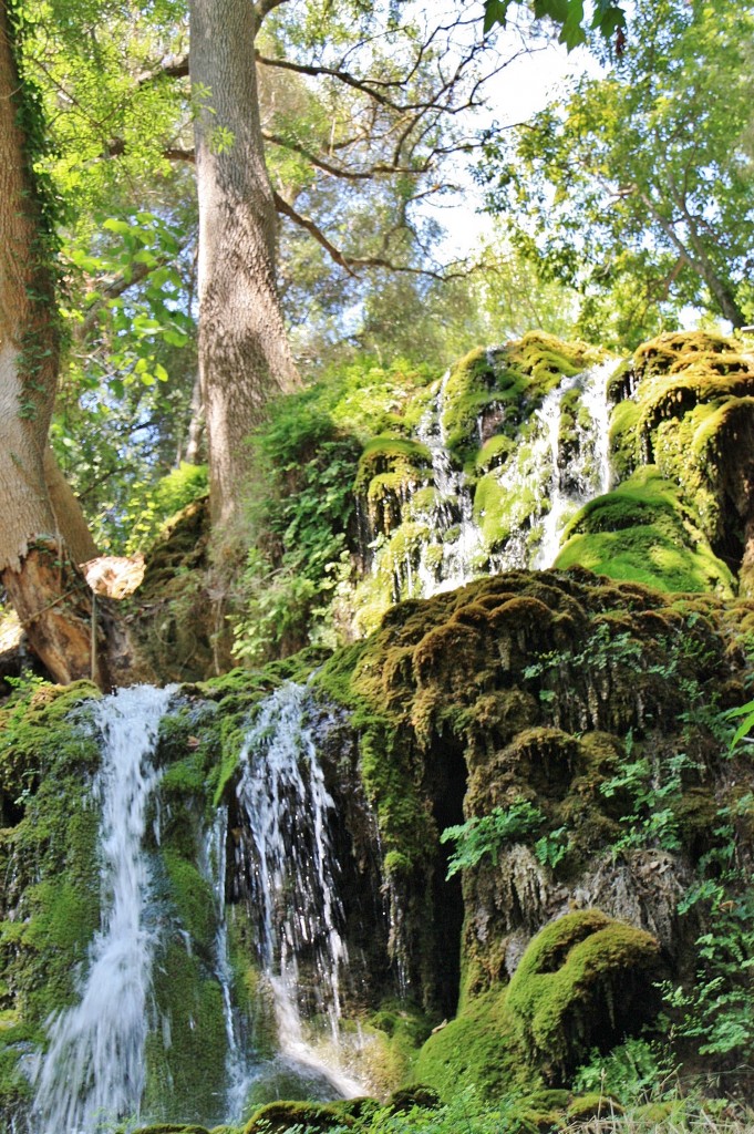 Foto: La Granja - Esporles (Mallorca) (Illes Balears), España