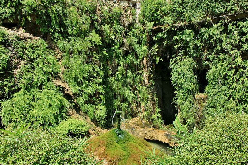 Foto: La Granja - Esporles (Mallorca) (Illes Balears), España