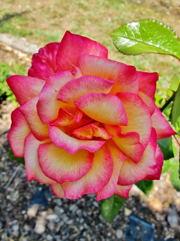 Foto: La Granja - Esporles (Mallorca) (Illes Balears), España