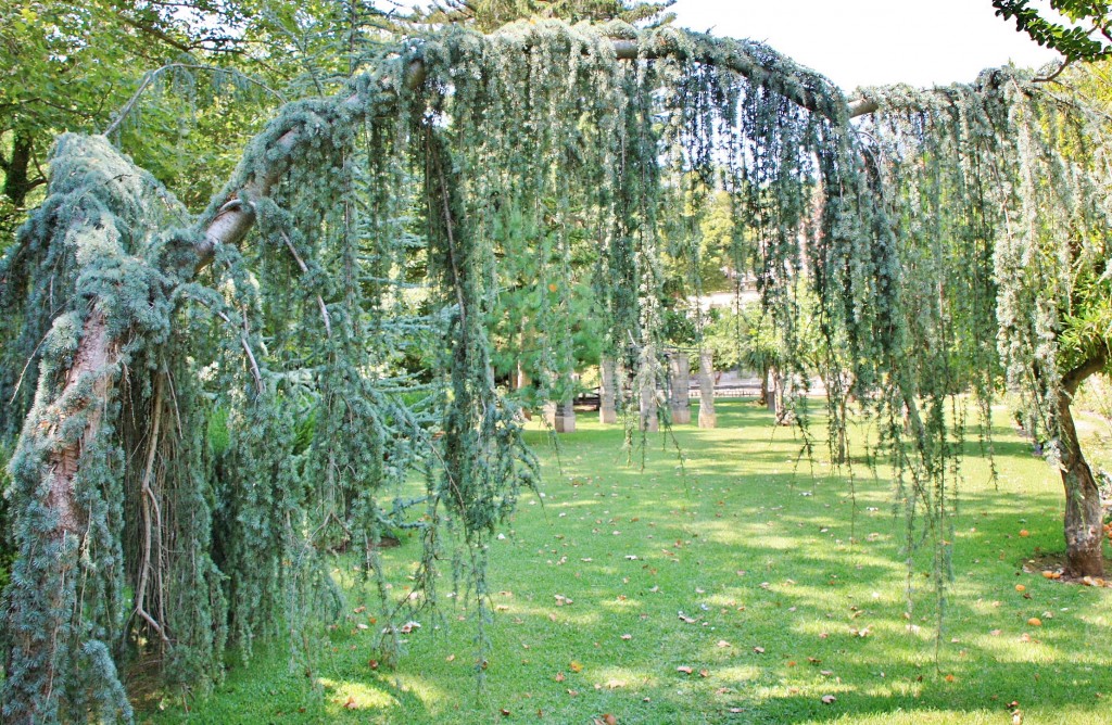 Foto: La Granja - Esporles (Mallorca) (Illes Balears), España