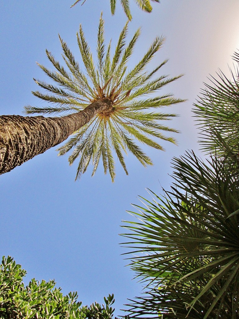 Foto: Baños árabes - Palma de mallorca (Illes Balears), España