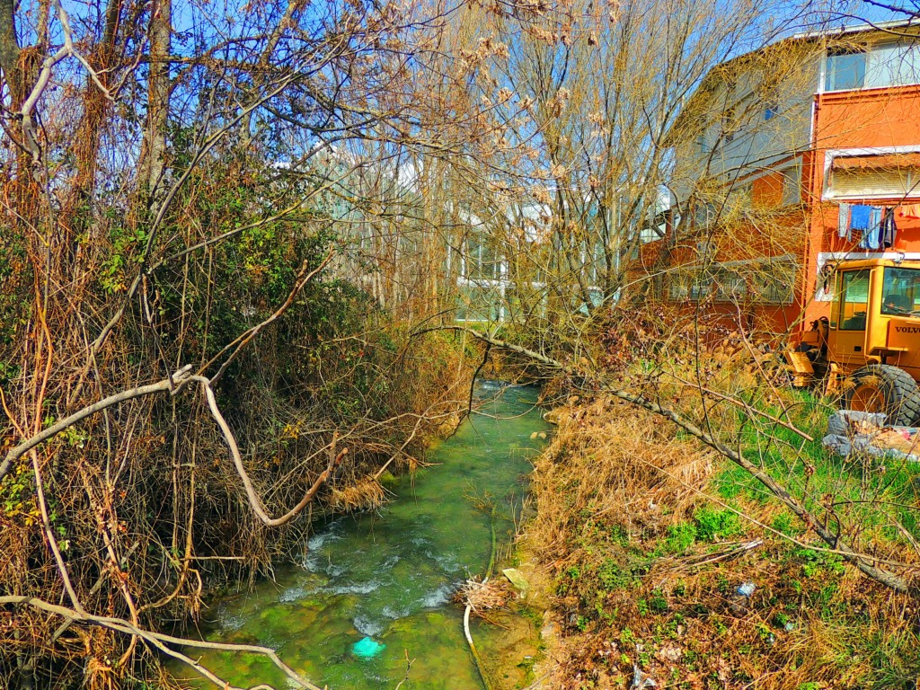 Foto: Río Moscas - Cuenca (Castilla La Mancha), España