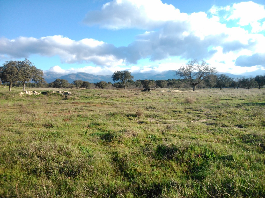 Foto de Talayuela (Cáceres), España