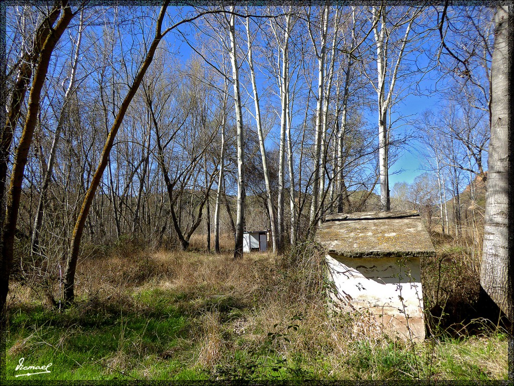Foto: 150405-10 ARCOS DE JALON - Arcos De Jalon (Soria), España