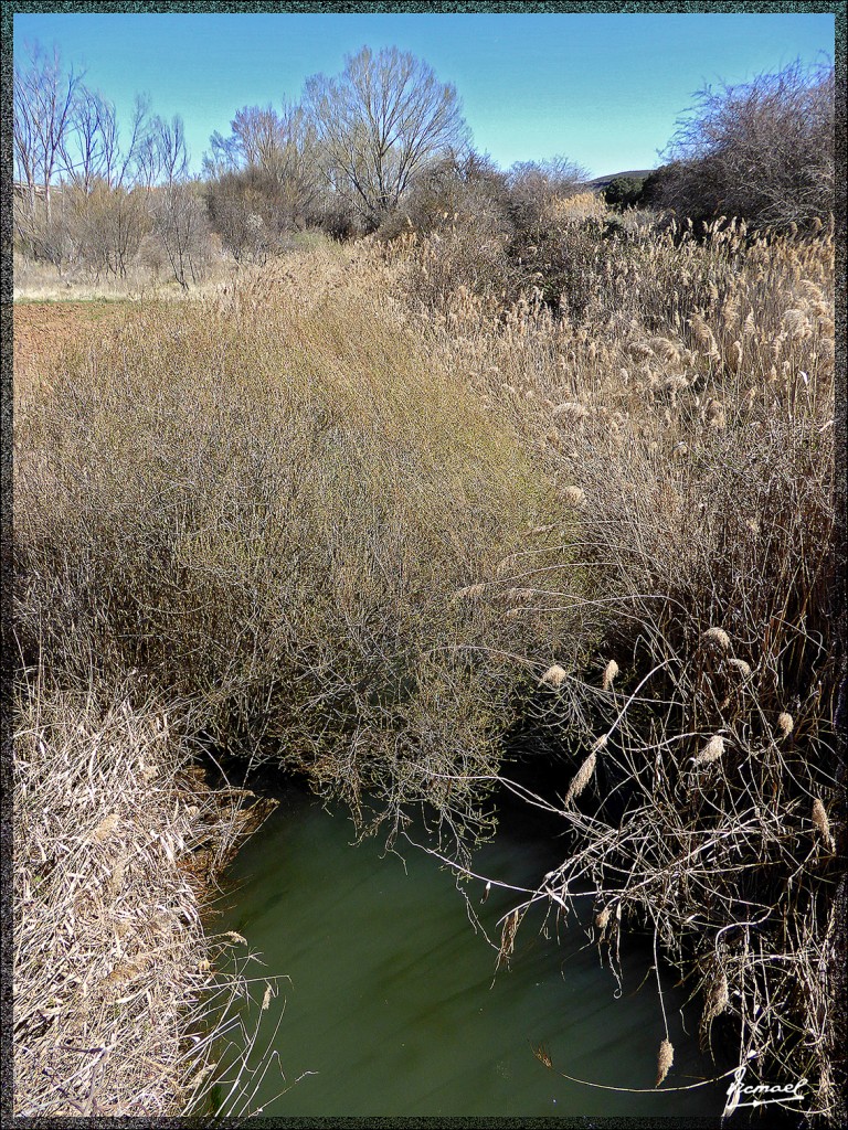 Foto: 150405-14 ARCOS DE JALON - Arcos De Jalon (Soria), España