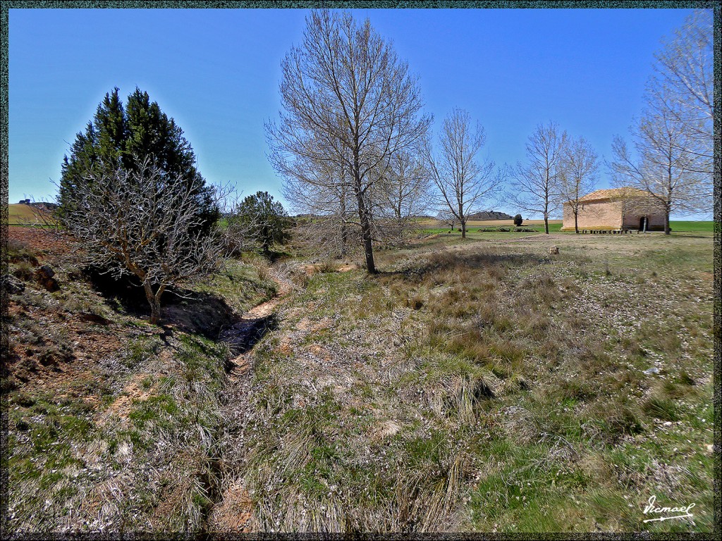 Foto: 150404-22 ALCONCHEL DE ARIZA - Alconchel De Ariza (Zaragoza), España