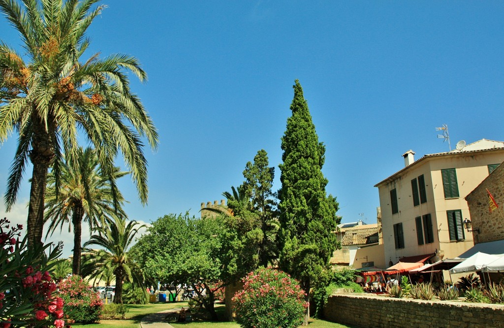 Foto: Centro histórico - Alcudia (Mallorca) (Illes Balears), España