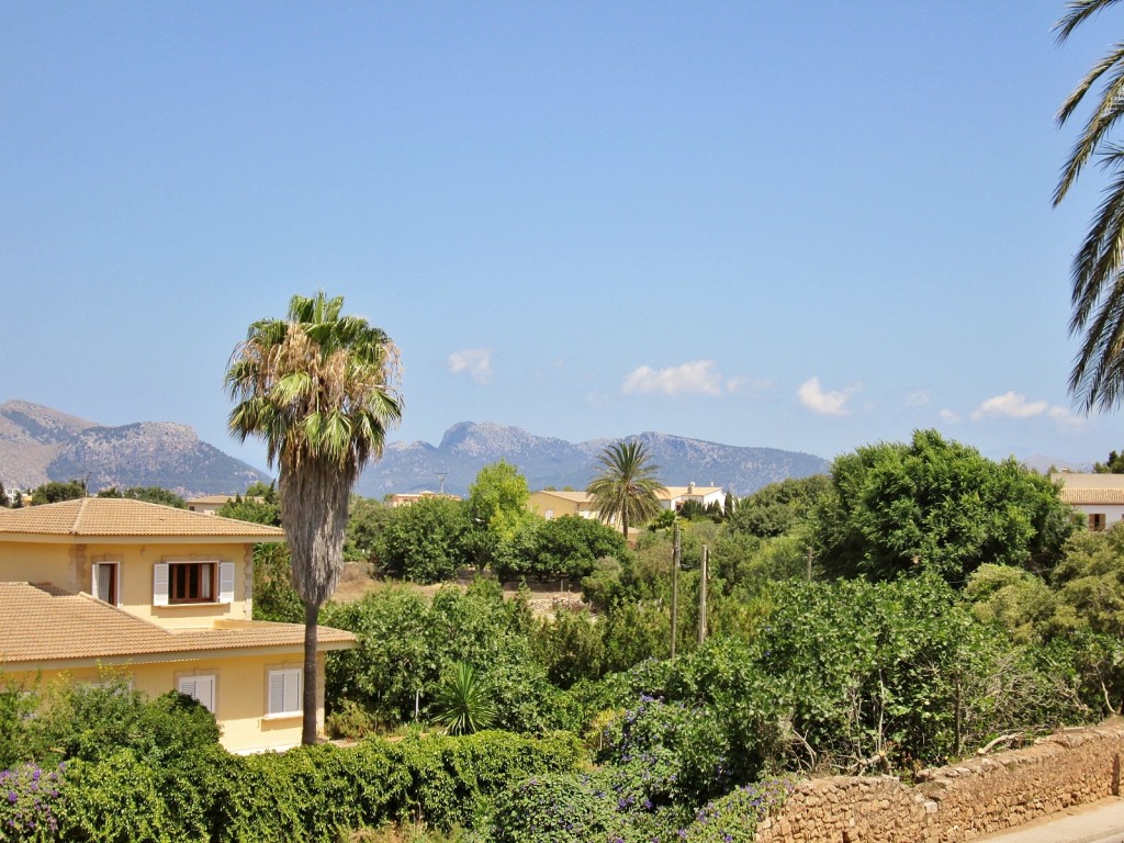 Foto: Centro histórico - Alcudia (Mallorca) (Illes Balears), España