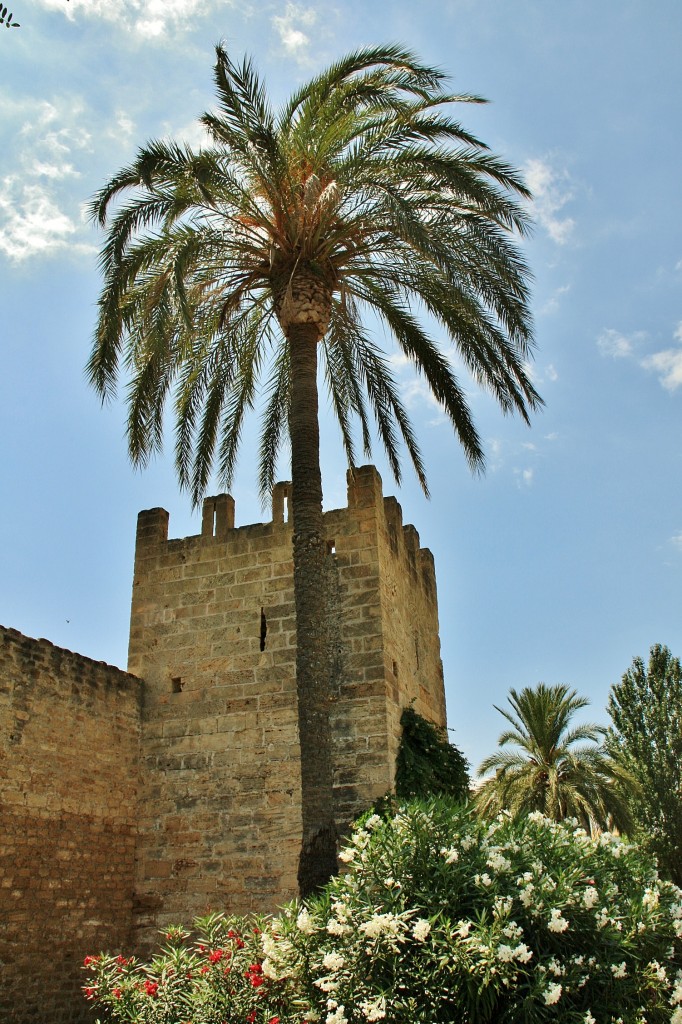 Foto: Centro histórico - Alcudia (Mallorca) (Illes Balears), España