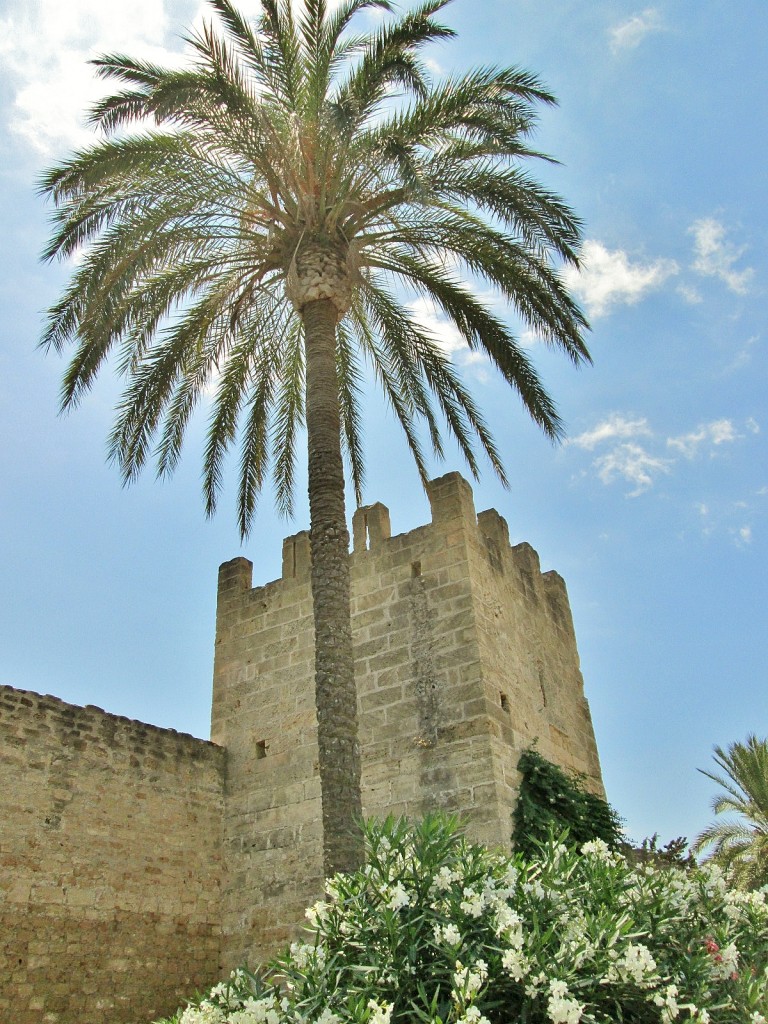 Foto: Centro histórico - Alcudia (Mallorca) (Illes Balears), España