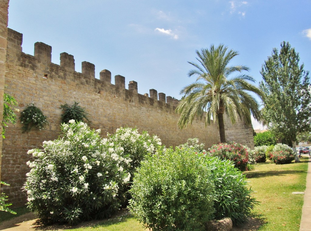 Foto: Centro histórico - Alcudia (Mallorca) (Illes Balears), España