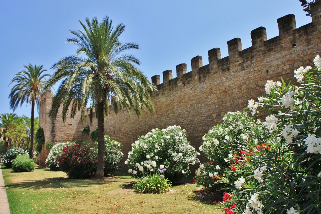 Foto: Centro histórico - Alcudia (Mallorca) (Illes Balears), España