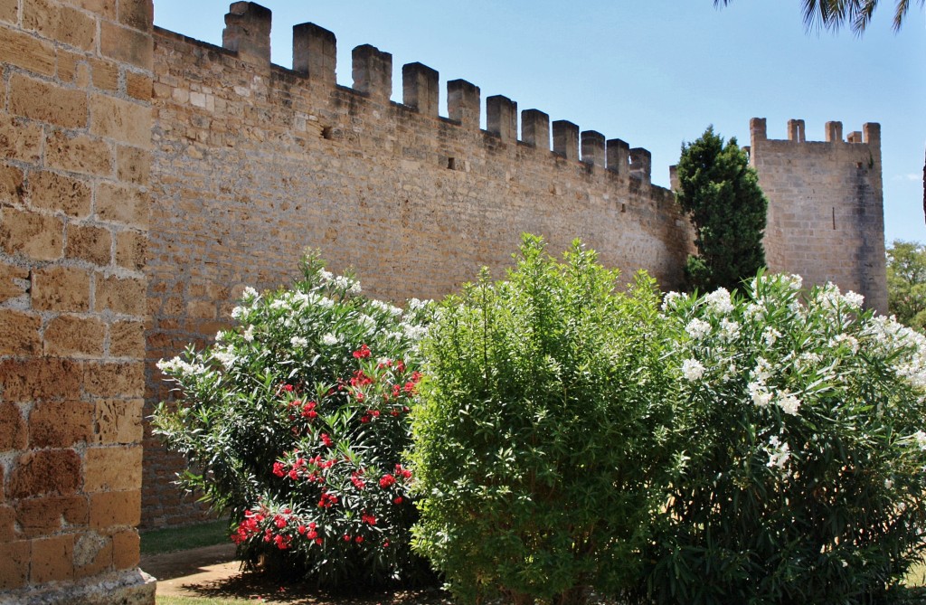 Foto: Centro histórico - Alcudia (Mallorca) (Illes Balears), España