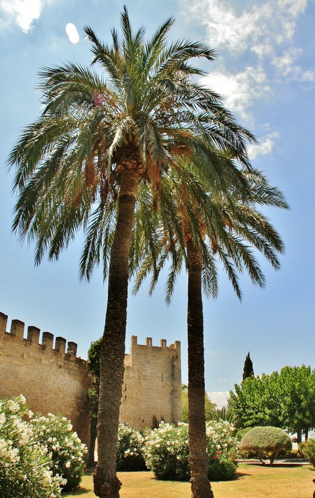 Foto: Centro histórico - Alcudia (Mallorca) (Illes Balears), España