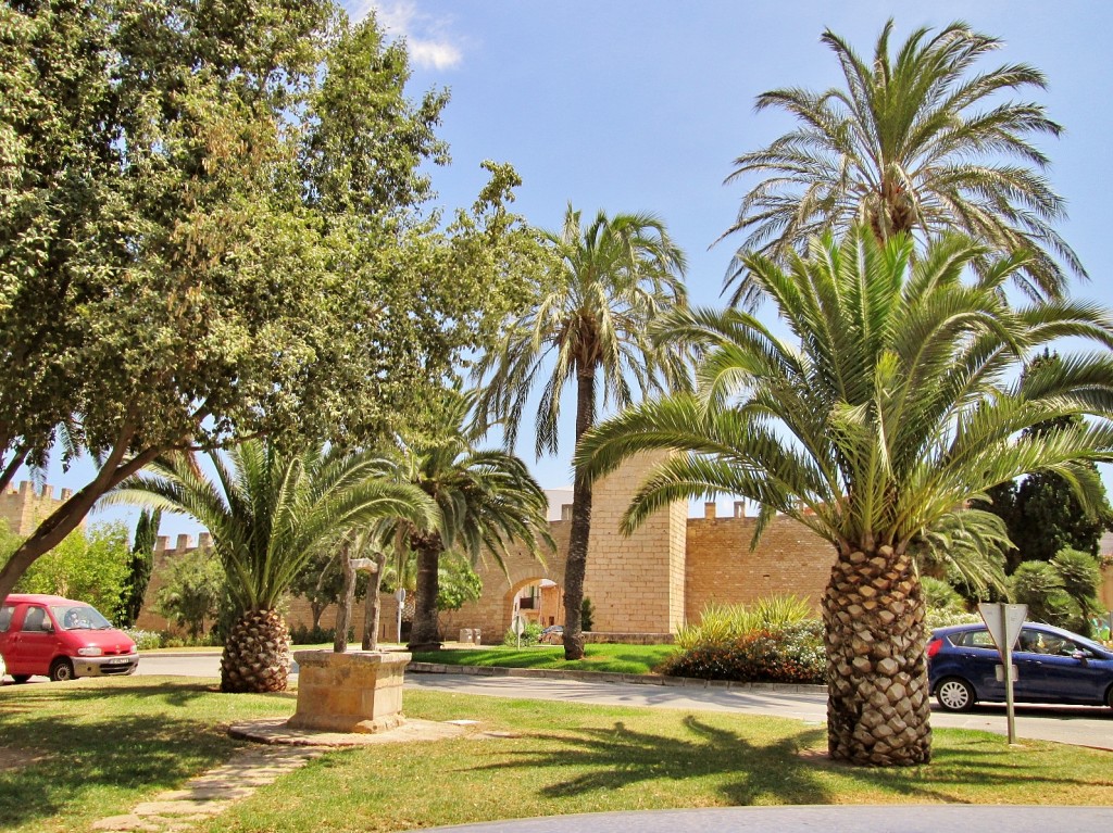 Foto: Centro histórico - Alcudia (Mallorca) (Illes Balears), España