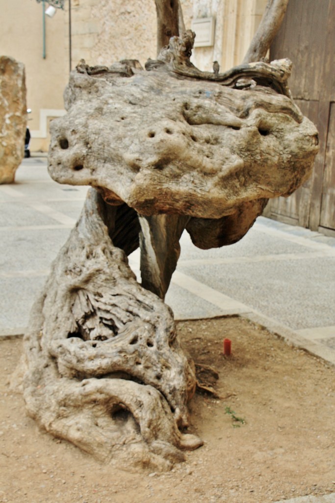 Foto: Centro histórico - Pollença (Mallorca) (Illes Balears), España