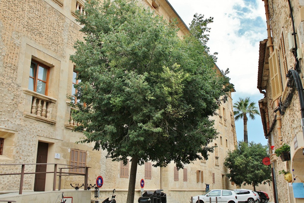 Foto: Centro histórico - Pollença (Mallorca) (Illes Balears), España