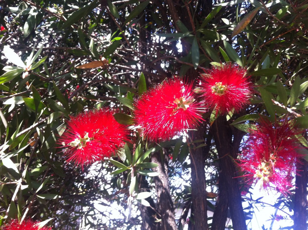 Foto de México (The Federal District), México