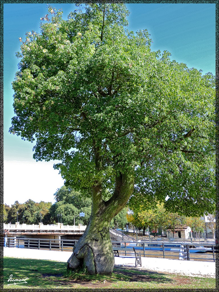 Foto: 150409-075 B. AIRES RIO PARANÁ - Buenos Aires, Argentina