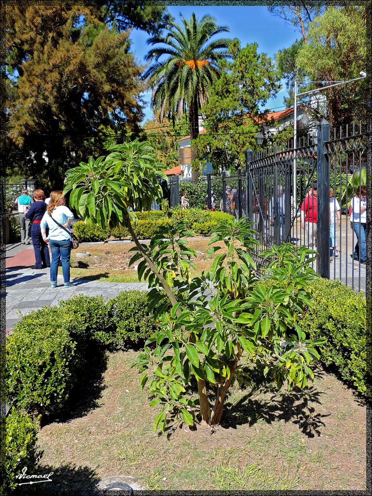 Foto: 150409-078 BUENOS AIRES - Buenos Aires, Argentina