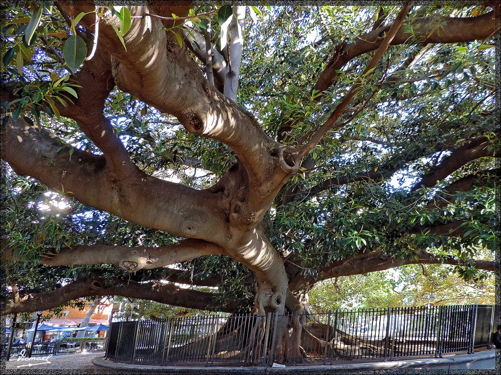 Foto: 150409-151 BUENOS AIRES - Buenos Aires, Argentina