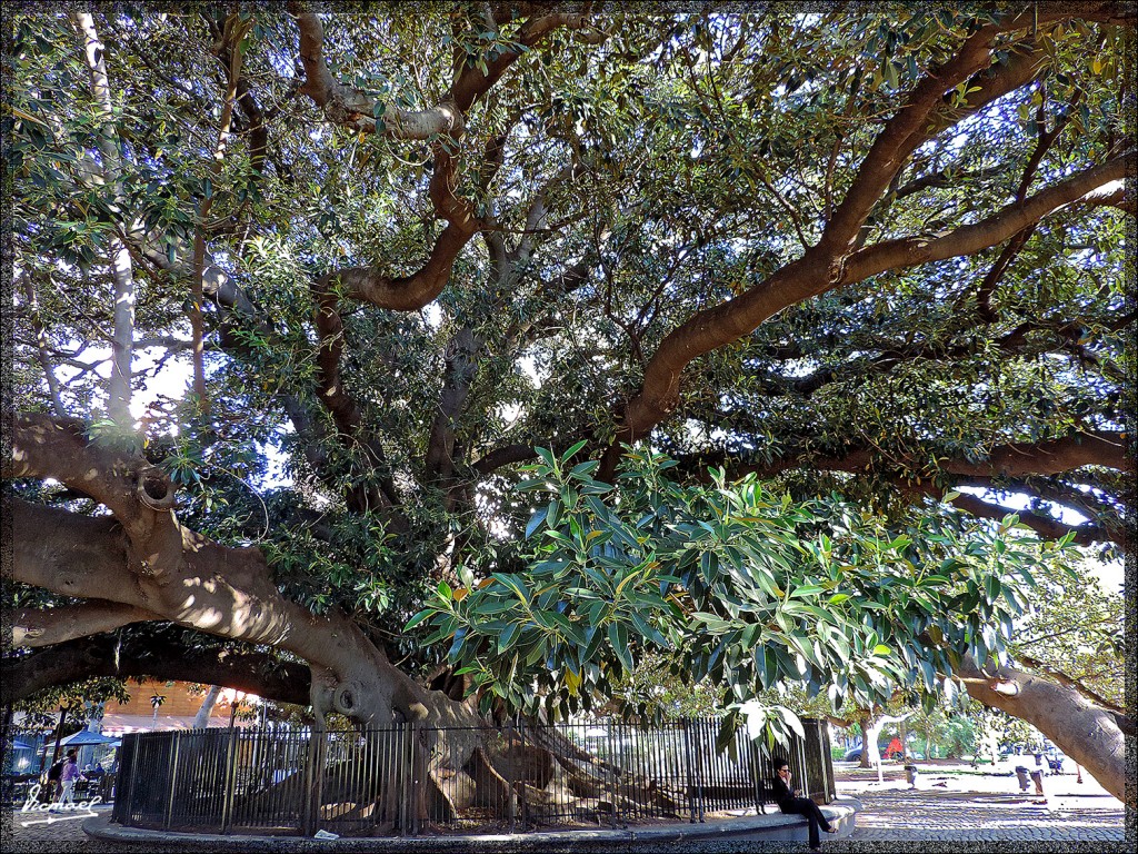 Foto: 150409-152 BUENOS AIRES - Buenos Aires, Argentina