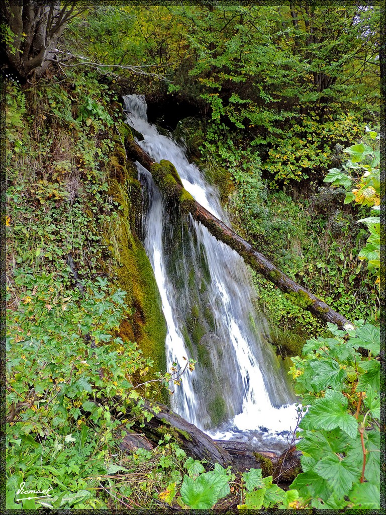Foto: 150411-039 USHUAIA TIERRA FUEG - Ushuaia (Tierra del Fuego), Argentina