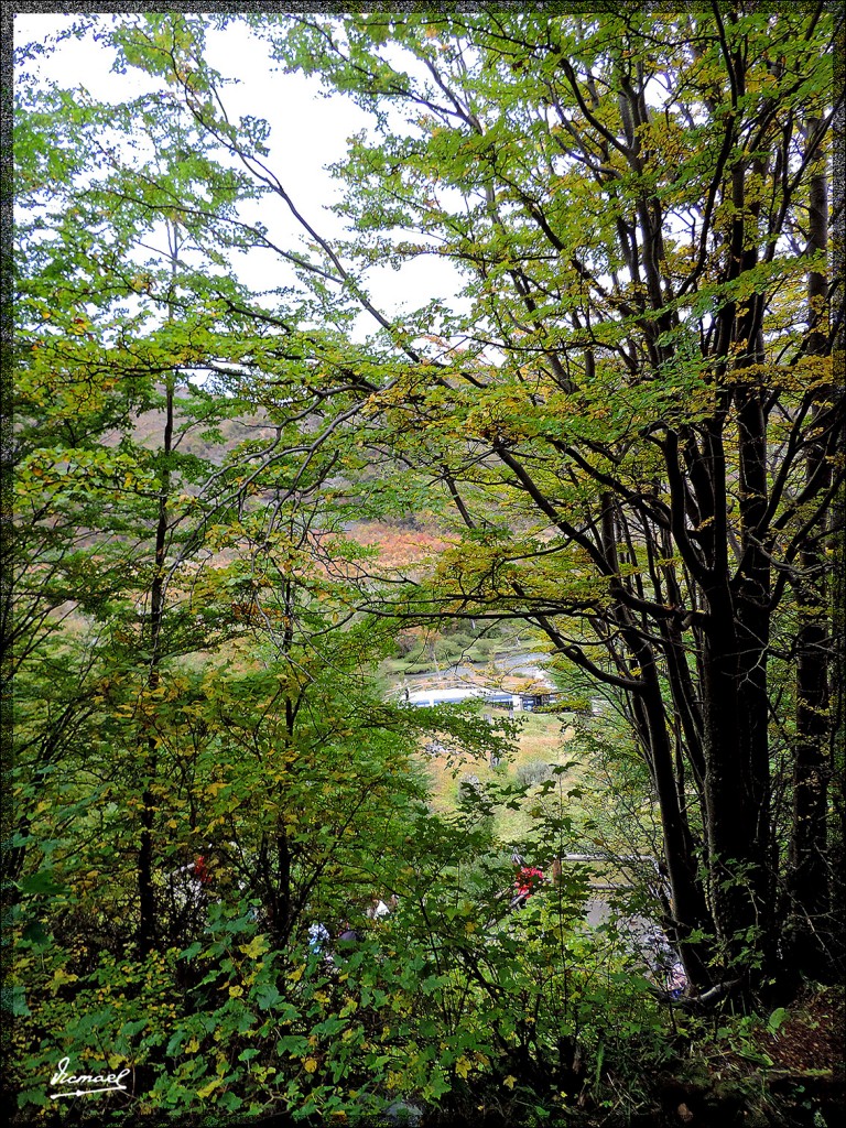 Foto: 150411-043 USHUAIA TIERRA FUEG - Ushuaia (Tierra del Fuego), Argentina