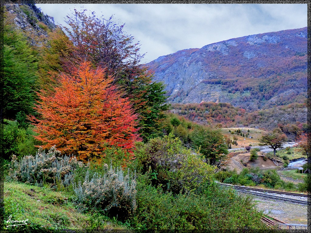 Foto: 150411-053 USHUAIA TIERRA FUEG - Ushuaia (Tierra del Fuego), Argentina
