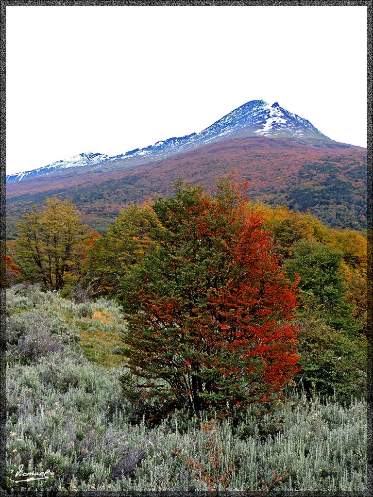 Foto: 150411-095 USHUAIA TIERRA FUEG - Ushuaia (Tierra del Fuego), Argentina