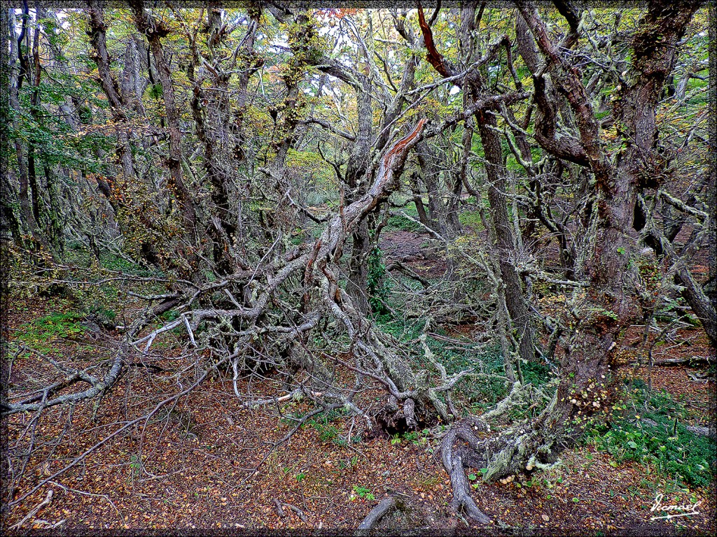 Foto: 150411-096 USHUAIA TIERRA FUEG - Ushuaia (Tierra del Fuego), Argentina