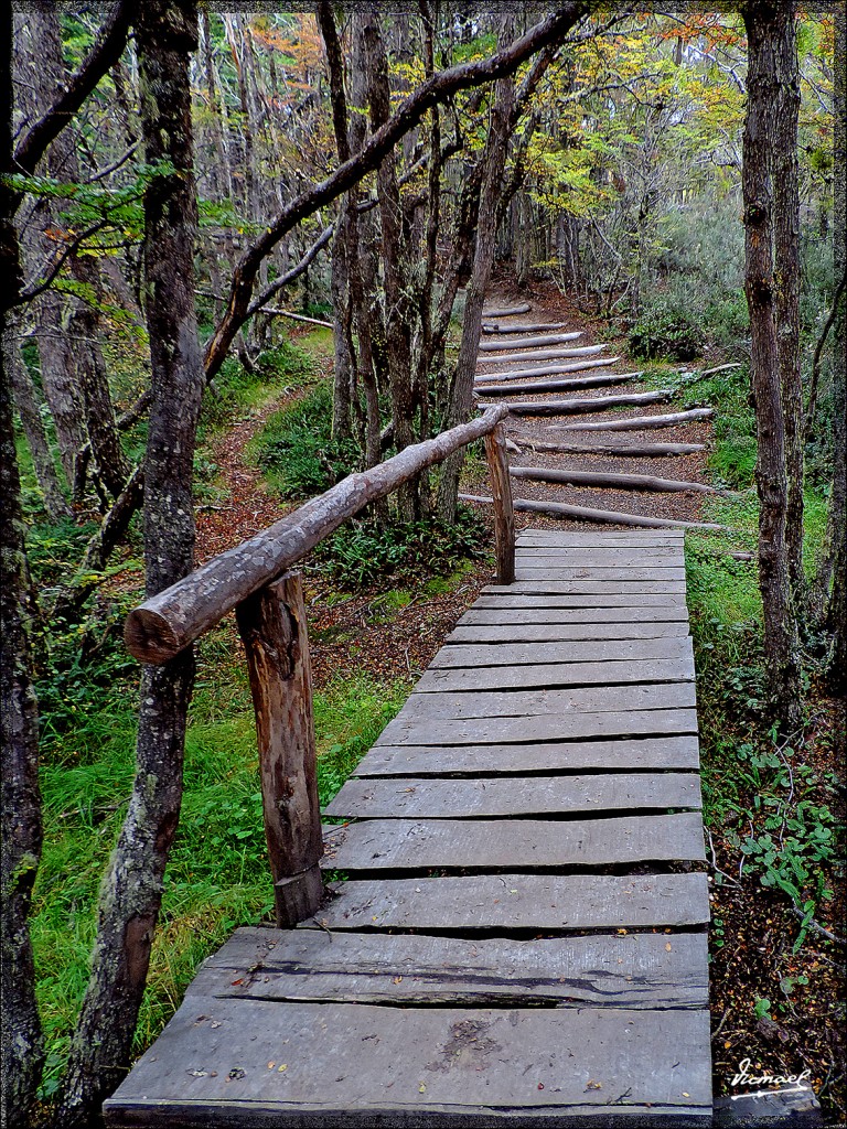 Foto: 150411-100 USHUAIA TIERRA FUEG - Ushuaia (Tierra del Fuego), Argentina