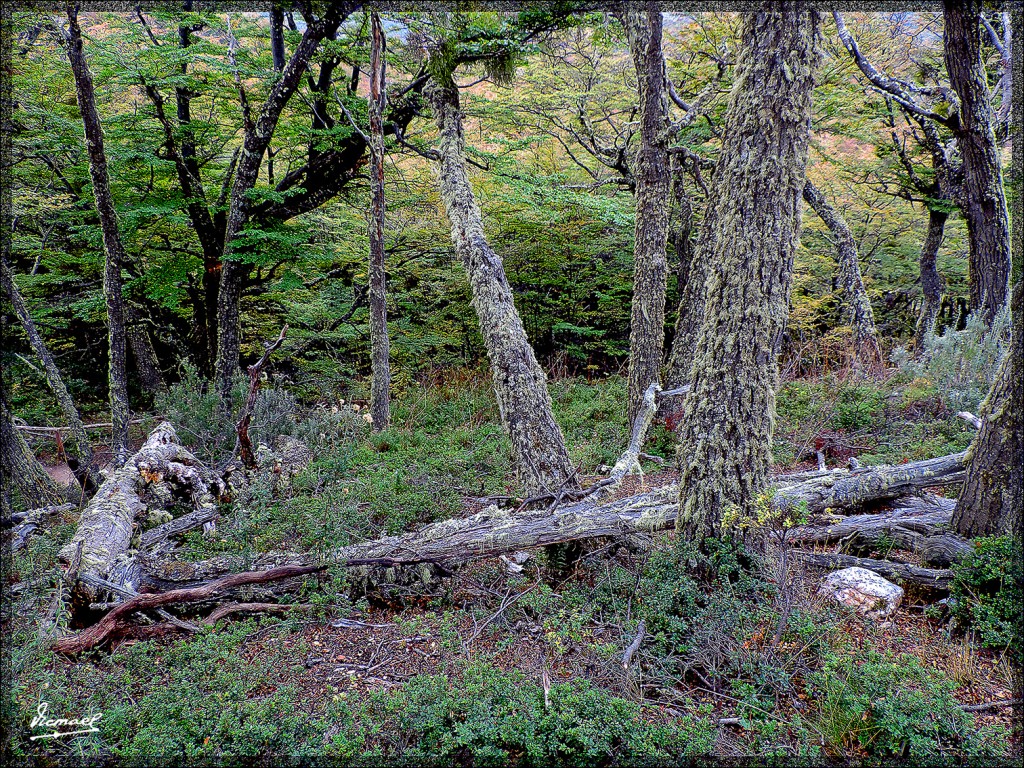 Foto: 150411-108 USHUAIA TIERRA FUEG - Ushuaia (Tierra del Fuego), Argentina