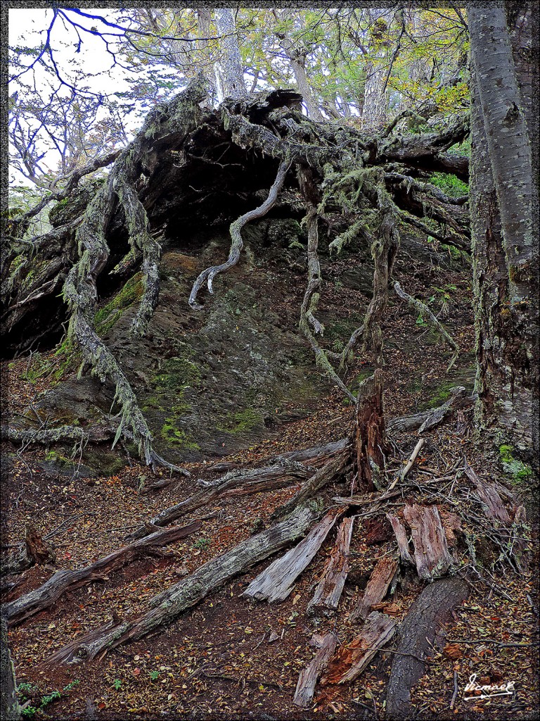 Foto: 150411-110 USHUAIA TIERRA FUEG - Ushuaia (Tierra del Fuego), Argentina