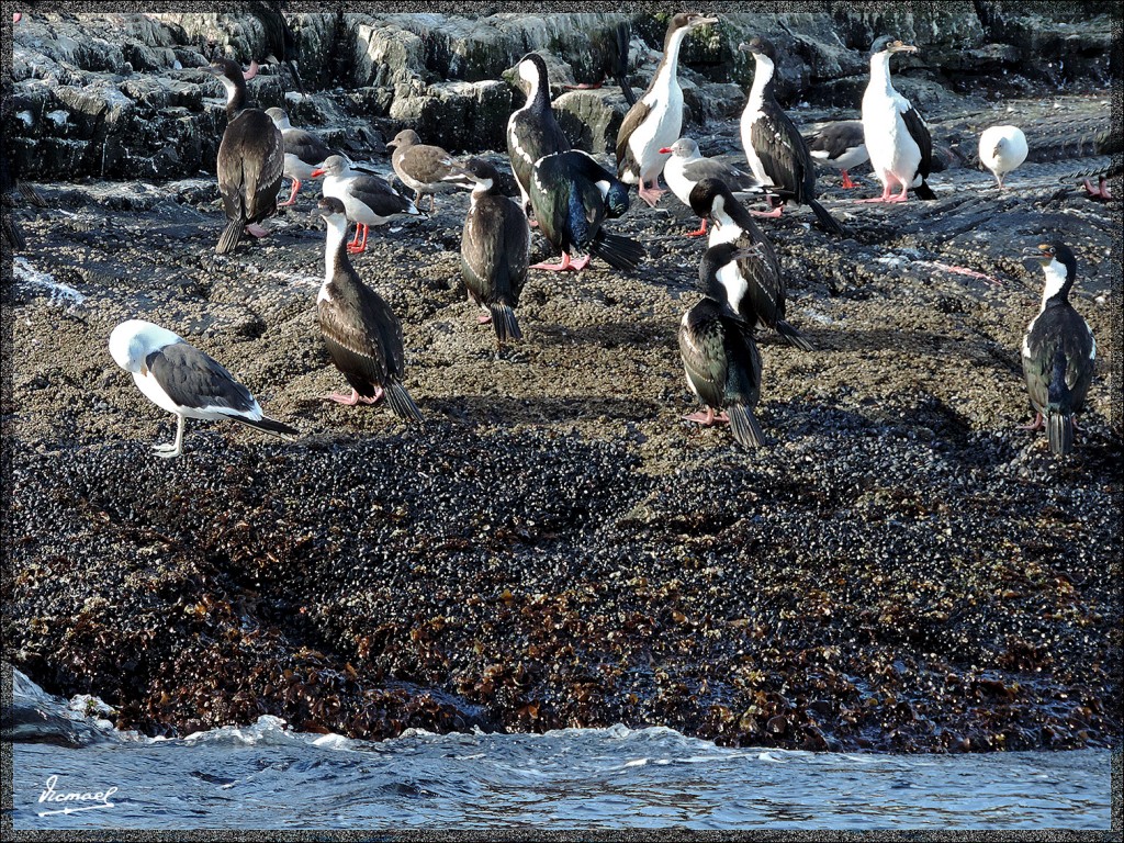 Foto: 150411-170 USHUAIA TIERRA FUEG - Ushuaia (Tierra del Fuego), Argentina