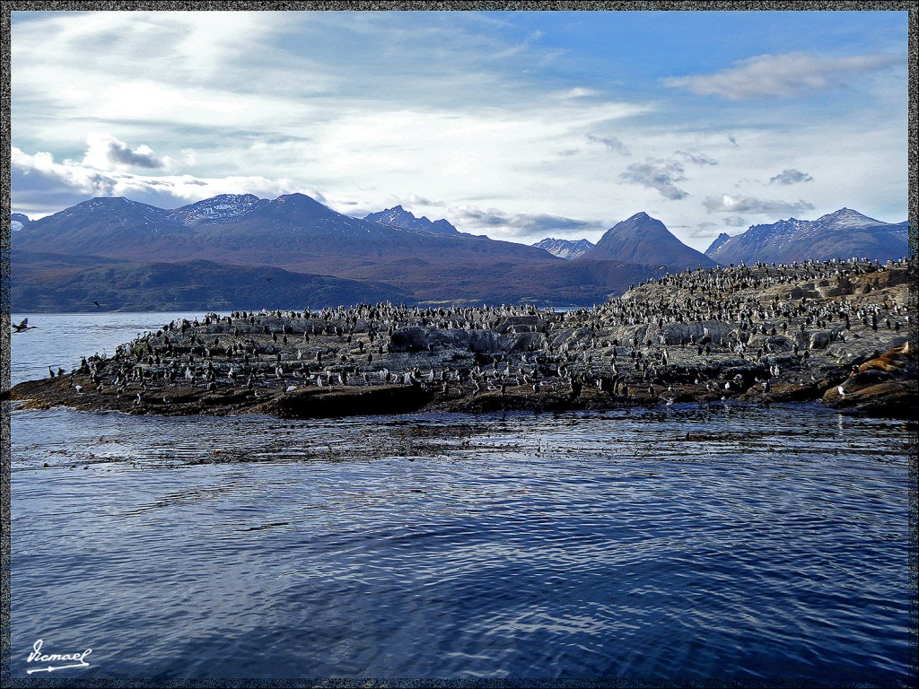 Foto: 150411-172 USHUAIA TIERRA FUEG - Ushuaia (Tierra del Fuego), Argentina