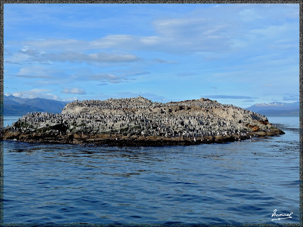 Foto: 150411-180 USHUAIA TIERRA FUEG - Ushuaia (Tierra del Fuego), Argentina