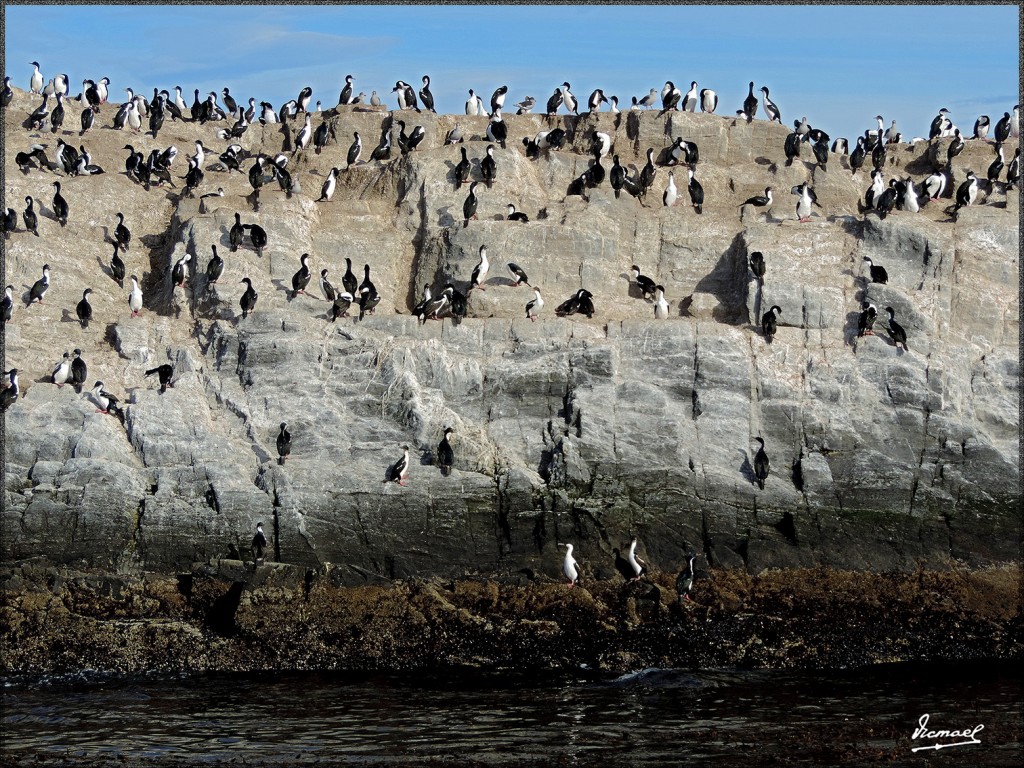 Foto: 150411-183 USHUAIA TIERRA FUEG - Ushuaia (Tierra del Fuego), Argentina