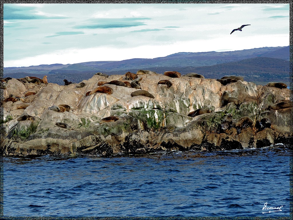 Foto: 150411-200 USHUAIA TIERRA FUEG - Ushuaia (Tierra del Fuego), Argentina