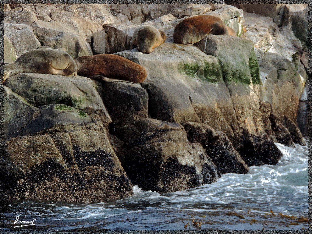 Foto: 150411-201 USHUAIA TIERRA FUEG - Ushuaia (Tierra del Fuego), Argentina