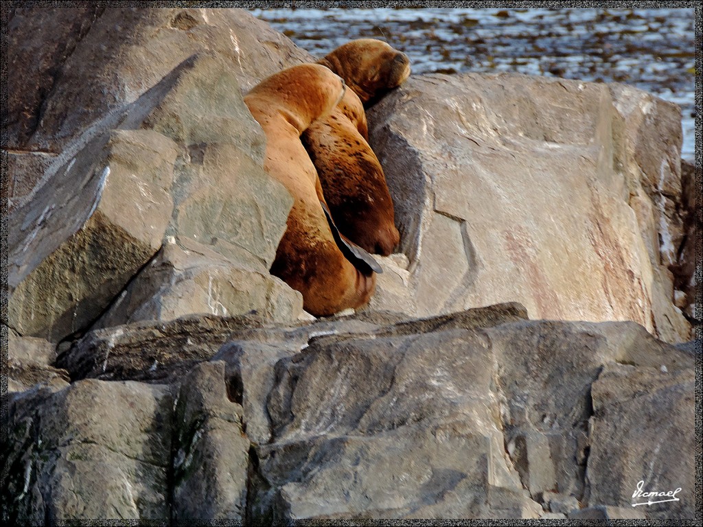 Foto: 150411-203 USHUAIA TIERRA FUEG - Ushuaia (Tierra del Fuego), Argentina