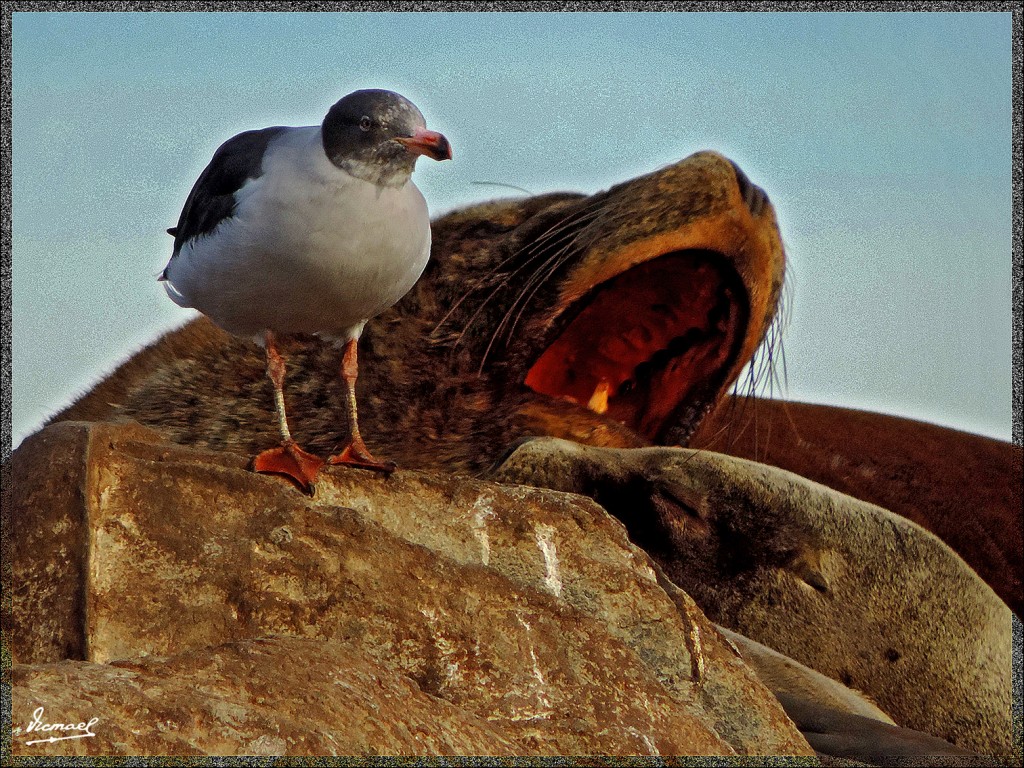 Foto: 150411-209 USHUAIA TIERRA FUEG - Ushuaia (Tierra del Fuego), Argentina