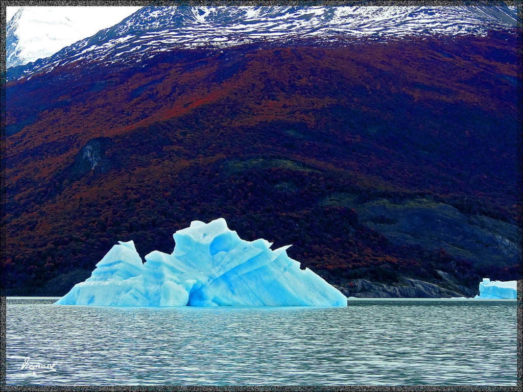 Foto: 150413-61 CALAFATE UPSALA - Calafate (Santa Cruz), Argentina