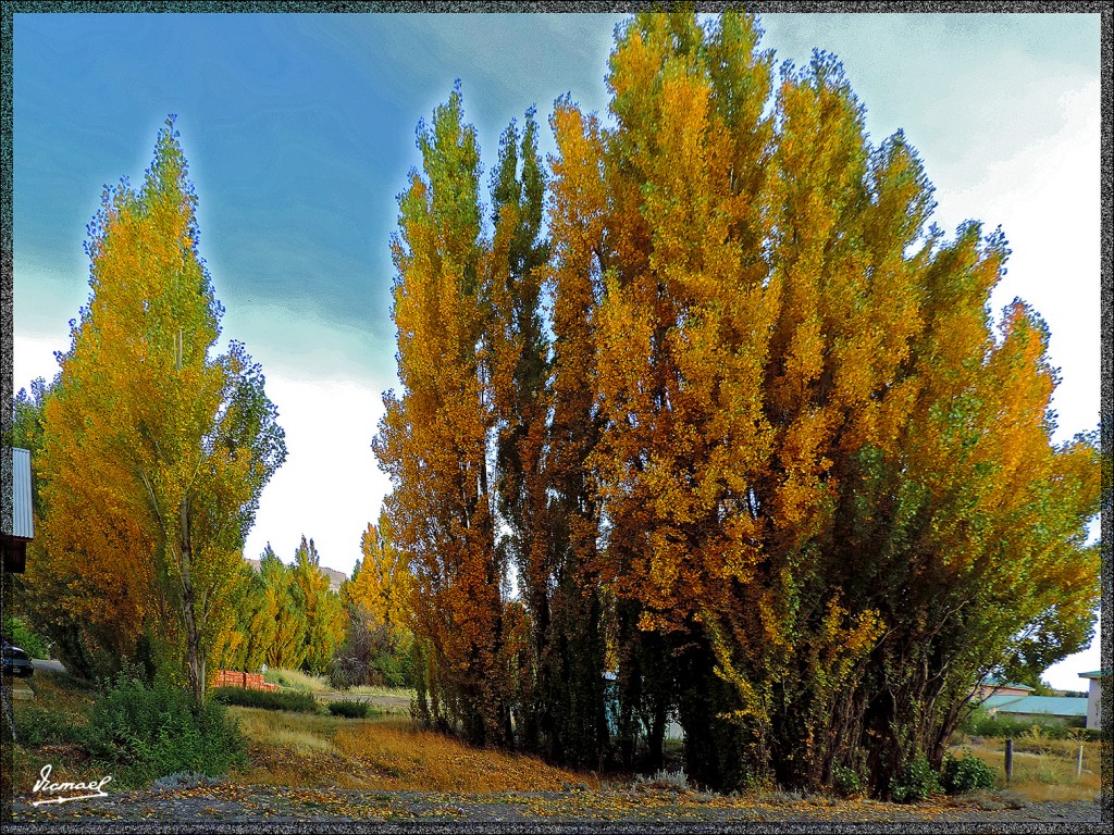 Foto: 150413-160 CALAFATE - Calafate (Santa Cruz), Argentina