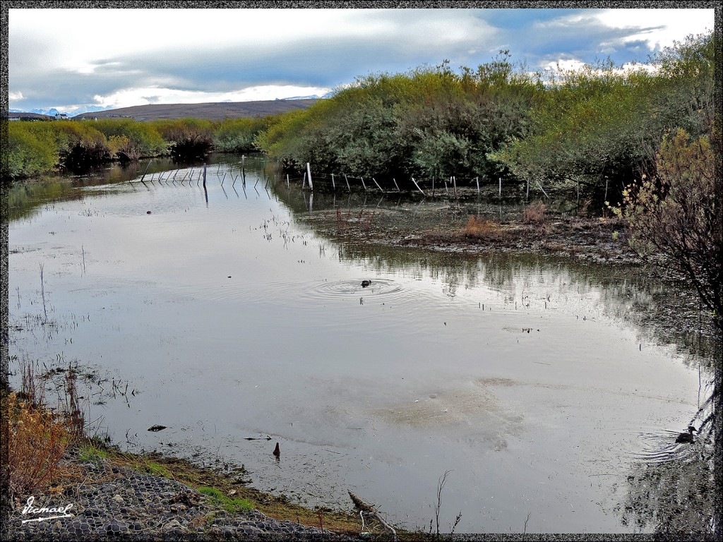 Foto: 150413-163 CALAFATE - Calafate (Santa Cruz), Argentina