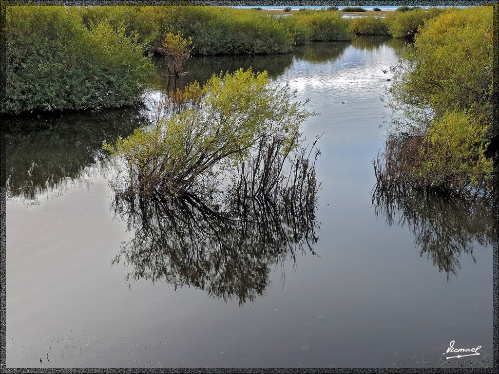 Foto: 150413-164 CALAFATE - Calafate (Santa Cruz), Argentina