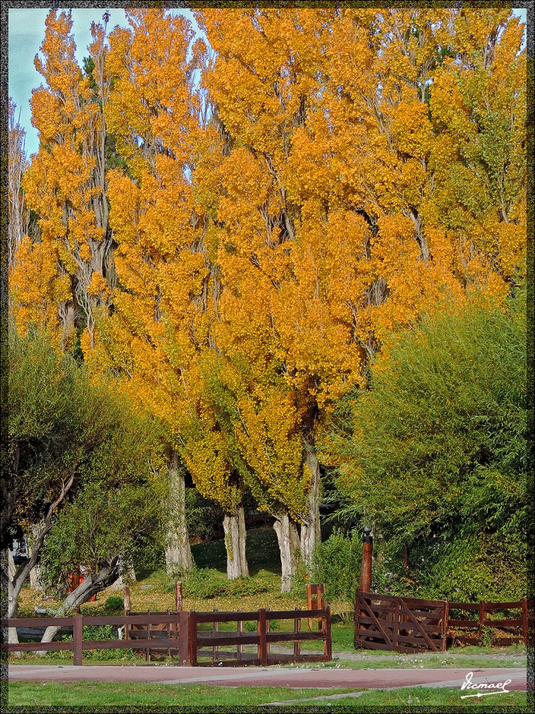 Foto: 150413-169 CALAFATE - Calafate (Santa Cruz), Argentina