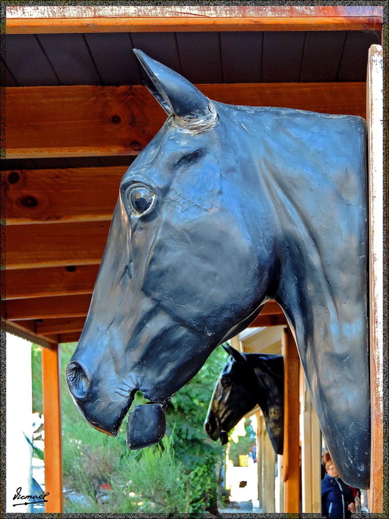 Foto: 150413-186 CALAFATE - Calafate (Santa Cruz), Argentina