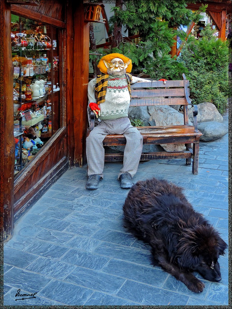 Foto: 150413-195 CALAFATE - Calafate (Santa Cruz), Argentina