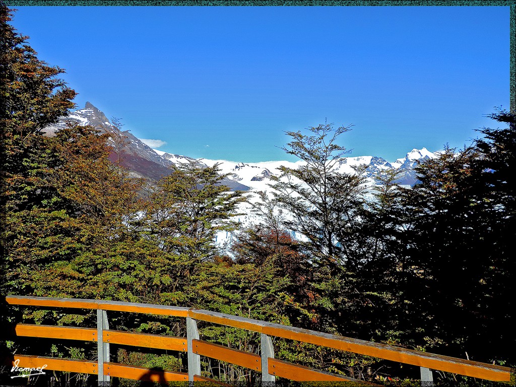 Foto: 150414-021 PERITO MORENO - Calafate (Santa Cruz), Argentina